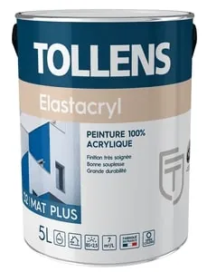 PEINTURE FACADE DECORATIVE ACRYLIQUE - TOLLENS - ELASTACRYL MAT PLUS - 16L - BLANC